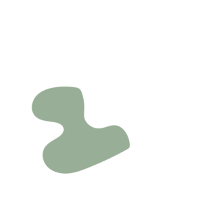 2a4a6130-placeholder-1769192530