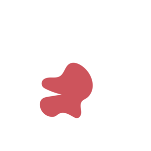 060f3165-placeholder-1770006788