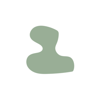 219bca04-placeholder-1770007874