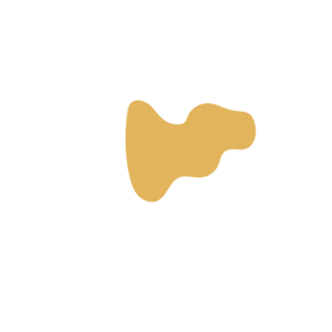 4f5c422f-placeholder-1770017954