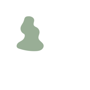 50962123-placeholder-1770022383