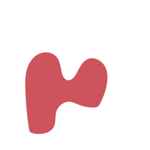 4f1d2a2d-placeholder-1770009272