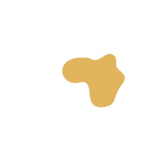 4c2a923c-placeholder-1770029942