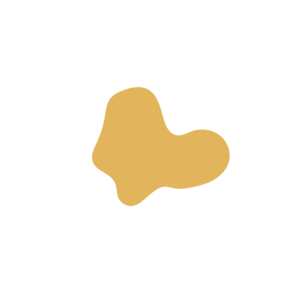 B29182f7-placeholder-1770005416