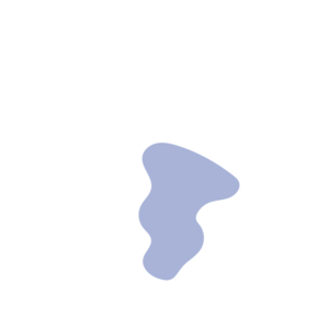 Cc34e125-placeholder-1770048651