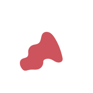 D1092bb1-placeholder-1768983379