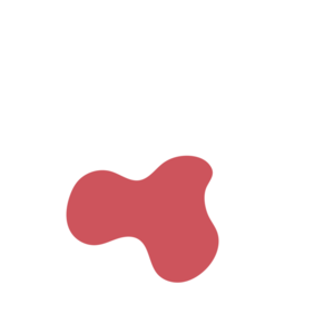 2ce9720c-placeholder-1770014407