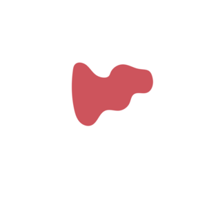 90751e07-placeholder-1770011724