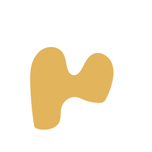 9a081735-placeholder-1770052241