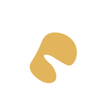 30e05e44-placeholder-1770006296