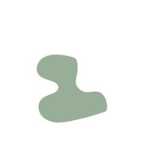 A66dd126-placeholder-1770004898