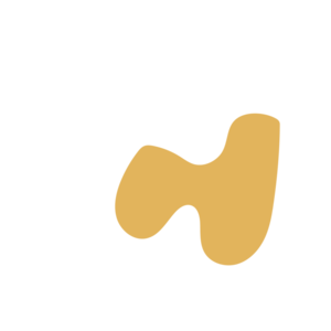 Dea5d272-placeholder-1770008246