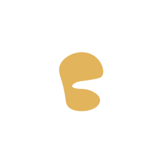 0ec11d89-placeholder-1770016122