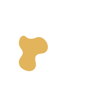 Bc65931e-placeholder-1770004998