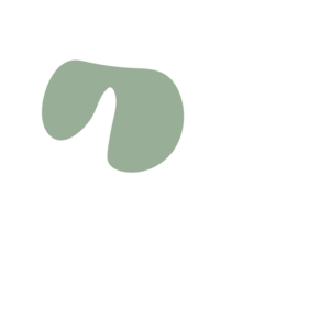 2ad908ea-placeholder-1770056392