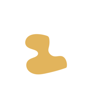 78f2bb4e-placeholder-1770007190