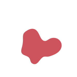 019474e6-placeholder-1770027146