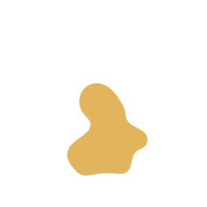 03505981-placeholder-1770007968