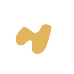 0c6daff5-placeholder-1770008392