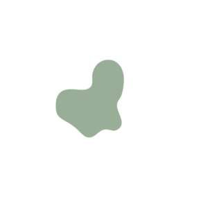 Cca77768-placeholder-1770046540