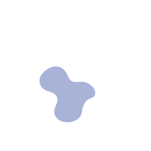 8b910848-placeholder-1770016137