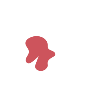 40d91fc6-placeholder-1770011935