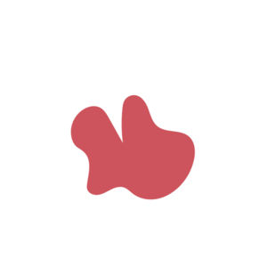 D21e0390-placeholder-1770008754