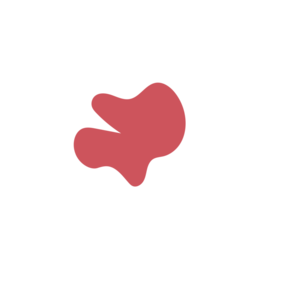 C1e4ba41-placeholder-1770006806