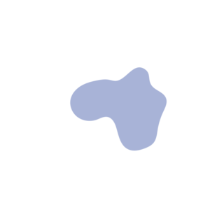 2942549c-placeholder-1770006823