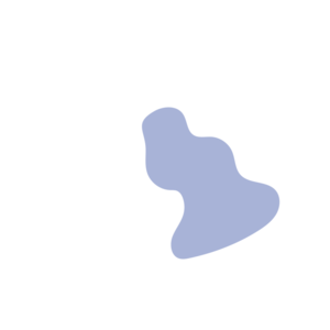 41ec249c-placeholder-1770008410