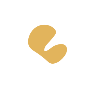 25a76ba8-placeholder-1770022341