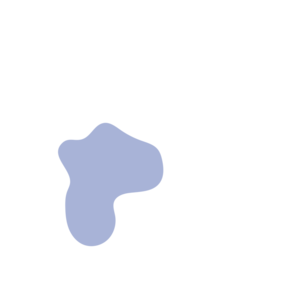 17b3df66-placeholder-1769615147