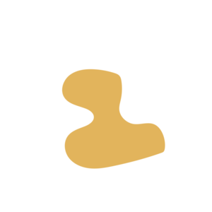 Bc140cb5-placeholder-1770040620