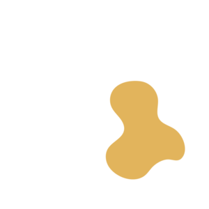 D88a45e6-placeholder-1770011175