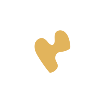 C1380e63-placeholder-1769992967