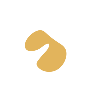 516f2691-placeholder-1770020900