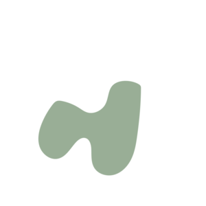 Cc509936-placeholder-1770013786