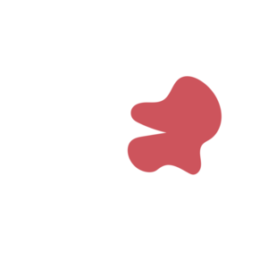 Cf564b0c-placeholder-1770751715