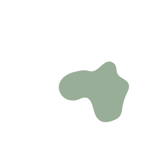 2f159dfb-placeholder-1770056327