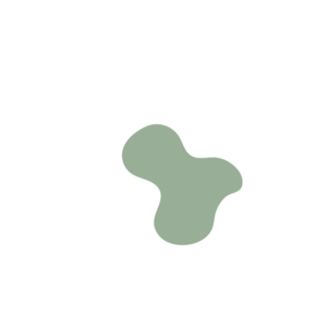 08dda5e6-placeholder-1768983541