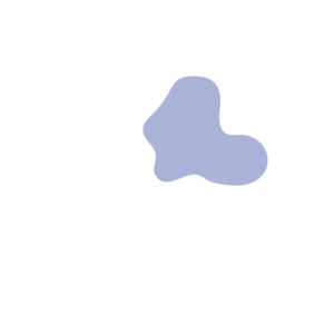 2a1d2ccf-placeholder-1770008566