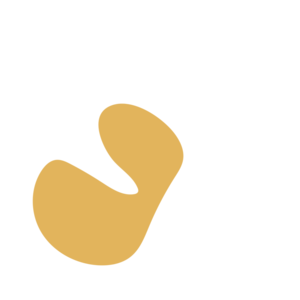 24ee2dd8-placeholder-1770014236