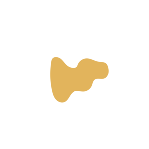 670e3d4a-placeholder-1770006376