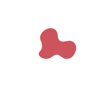 8abf79f5-placeholder-1770101069