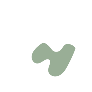 084d28dd-placeholder-1769192582