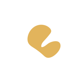 8f5f54ce-placeholder-1770019701