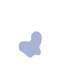 Bc377cef-placeholder-1770052782