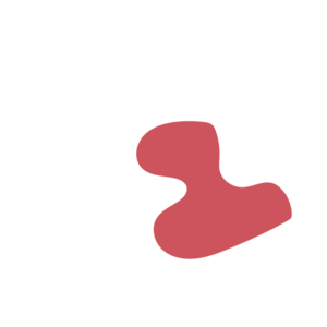 8732024f-placeholder-1770029492