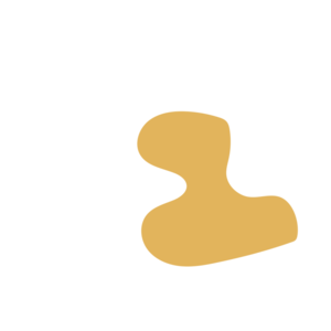 7cbd2a56-placeholder-1770020642