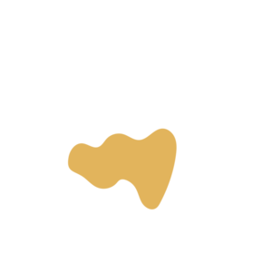 131e6b58-placeholder-1769996989